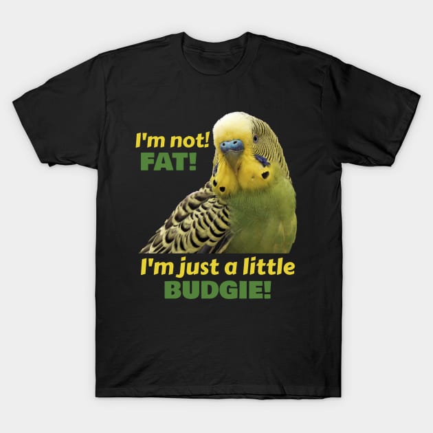 Fat Budgie Parakeet Parrot T-Shirt by Einstein Parrot